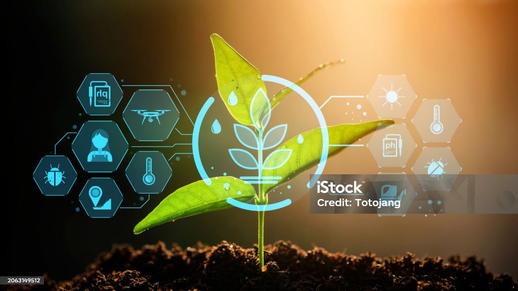 Live كفاءة استخدام المياه visualization